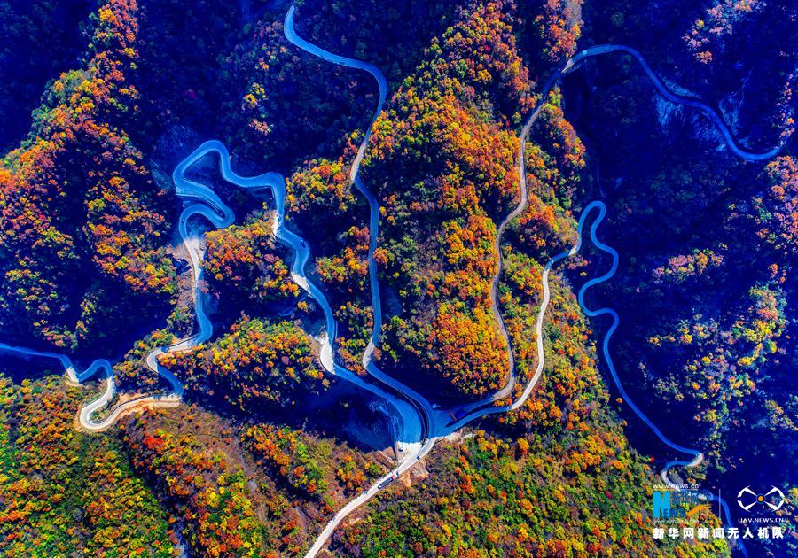 这里梯田盘山,如帛似绢,色彩斑斓,是豫西最具代表性的山地性综合生态