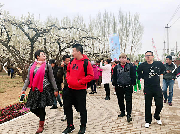 庞各庄镇第25届梨花旅游文化节开幕享受林间漫步的惬意