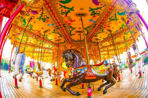 快来乐华欢乐世界感受你们老公的余温