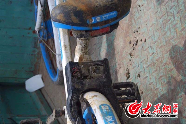 滨州共享单车5个月损毁200余辆 损坏者将被处罚