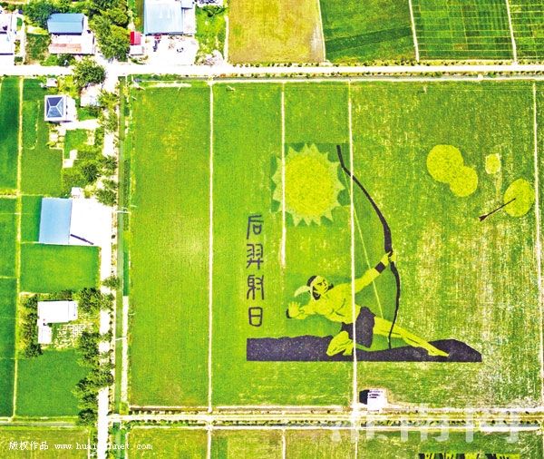 淮南创意稻田画扮靓美丽乡村