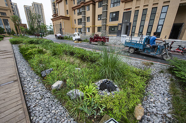 陕西西咸新区海绵城市样板一座透水的城人均绿地21㎡