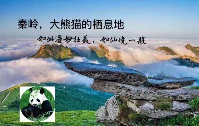 陕西省林业局副局长党双忍在秦岭大熊猫文化宣传活动媒体通气会上发表