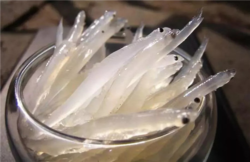 "春满中原·老家河南"来嵩县过年好嗨 赶大集,云海,农家美味