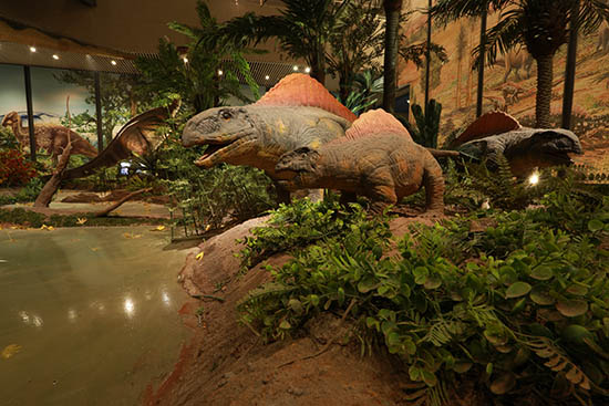 湖南省地质博物馆4月20日向社会全新开放 迎首批幸运探馆游客