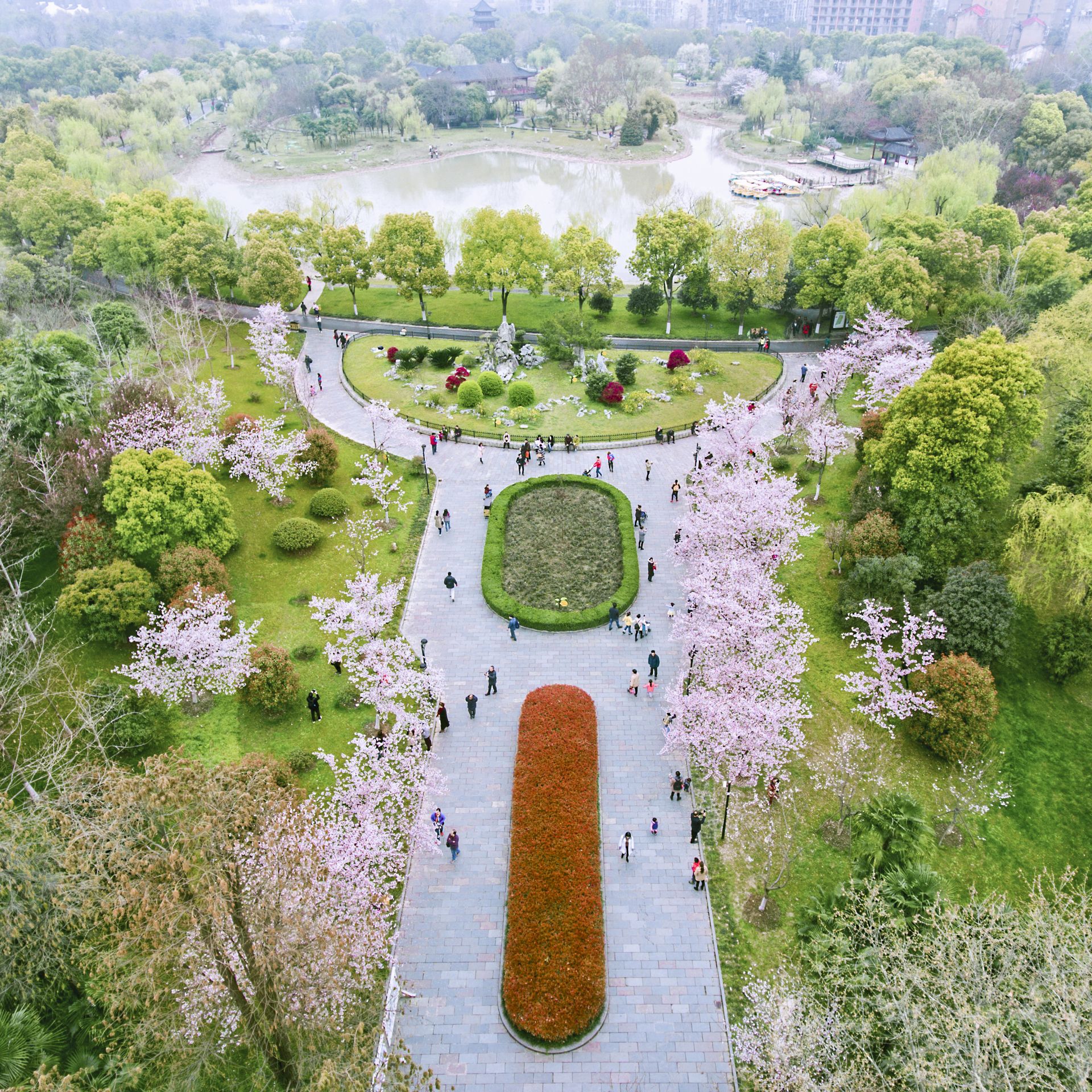 堤角公园春色满园鲩子湖碧波荡漾高颜值地下公厕成新晋网红地菜市场