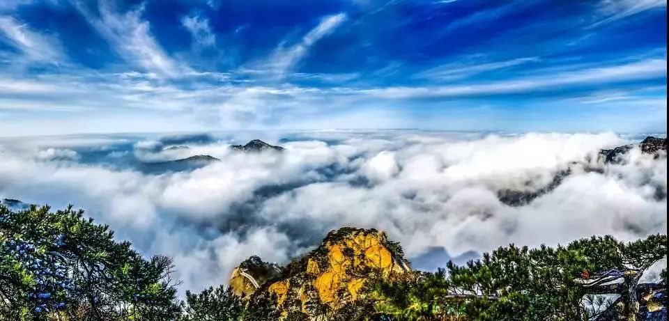 大别山世界地质公园罗田园区：千里大别山 根...
