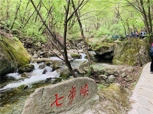柞水县秦楚古道景区举行媒体旅行社采风