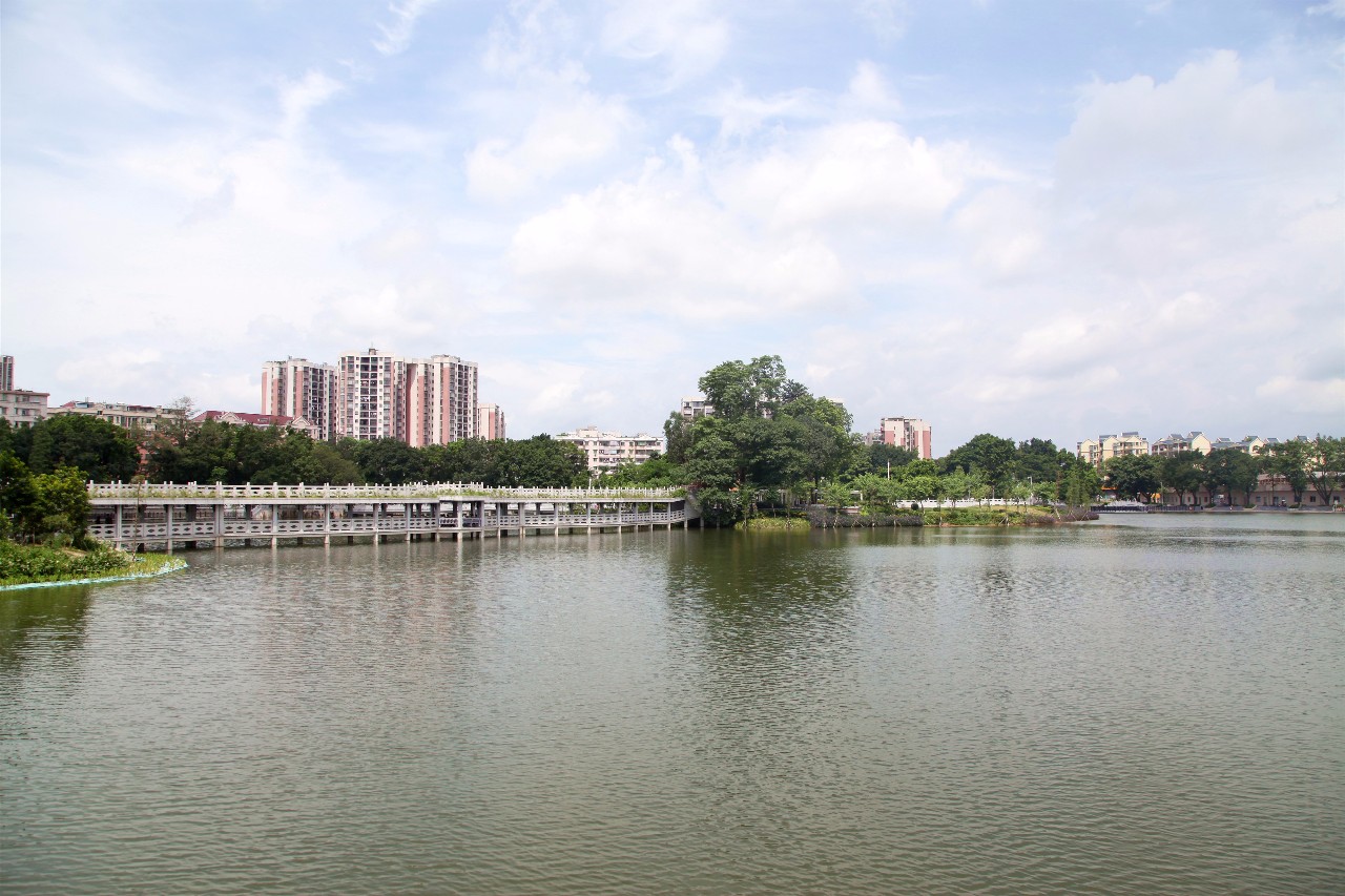 对比先进找差距 江门蓬江区宣传文化系统到鹤山考察调研_广东频道_凤