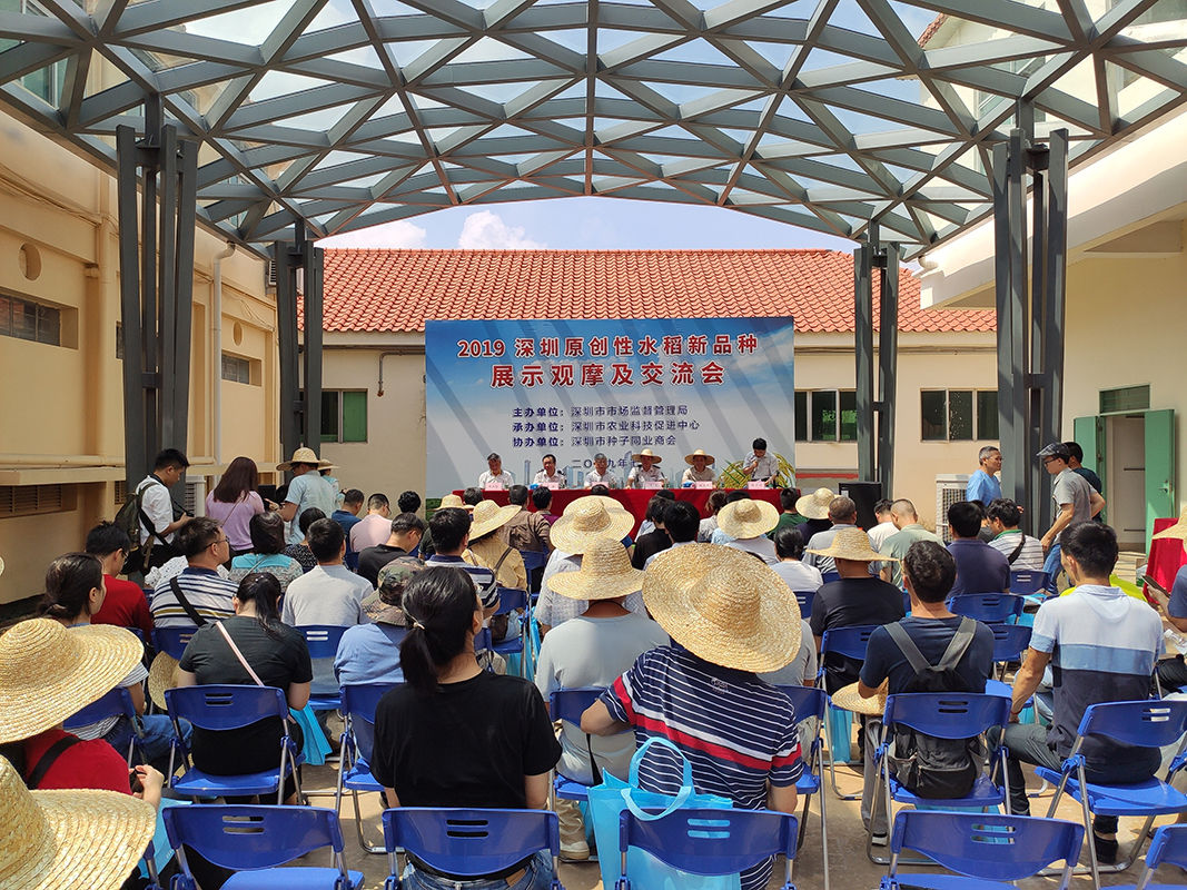 的综合性状进行了测评打分,评选出深圳隆平金谷种业有限公司绿银占