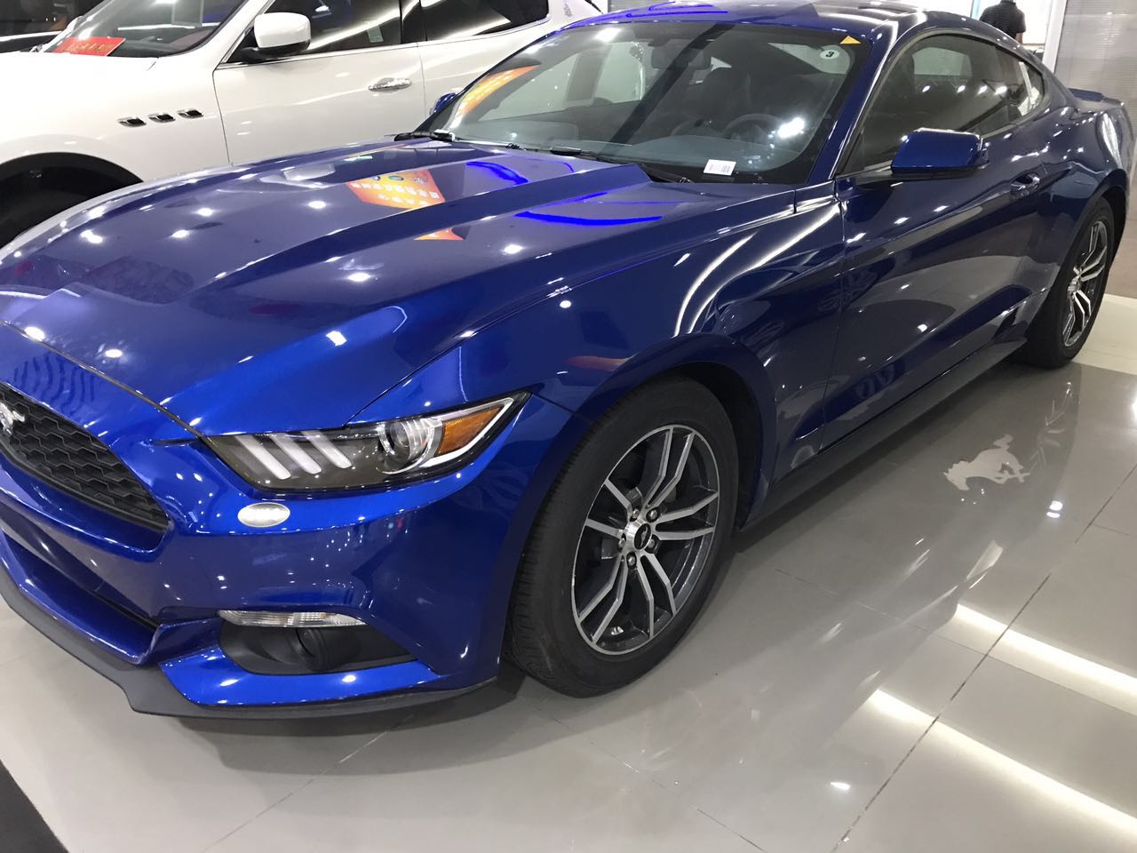 17款美版福特野马放诞不羁刚毅强壮