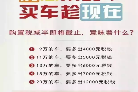 认真购物，买点好的