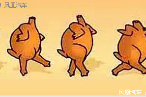 我们养肥火You鸡Hui 