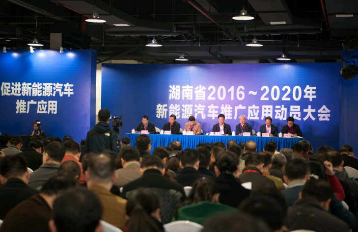 每天汽车商城新能源