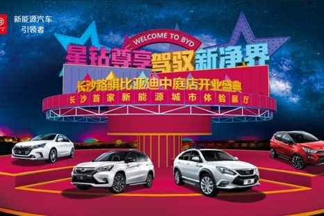 路骐比亚迪中庭国际