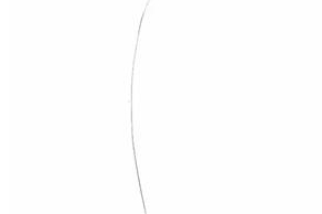 教你一招防脱发