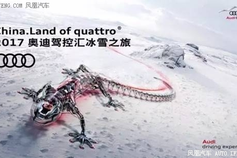 7奥迪驾控汇冰雪之旅