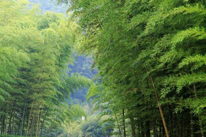 青山绿水南山湖，我