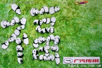 转发这群萌萌哒的熊