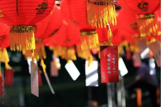 雷诺元宵节钜惠