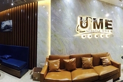 旅行者英菲尼迪《功