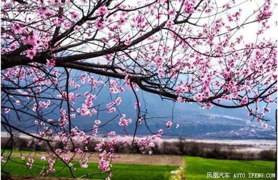 车内配置带给你温暖