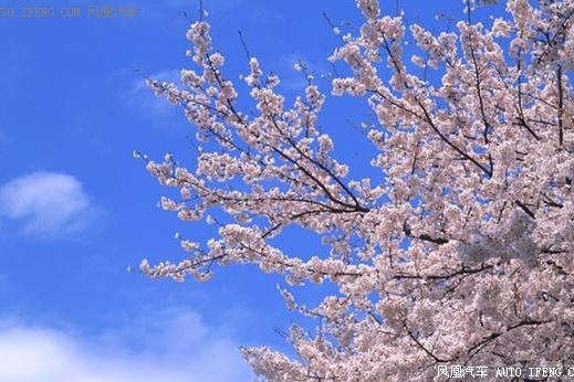 三月的第一场约会