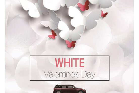 拥有MINI的绝佳时机