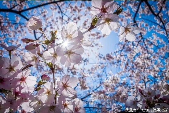 金华大昌好礼来袭