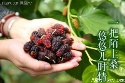 与奥迪享受春日温暖