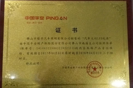 聚势发力，塔孚照明