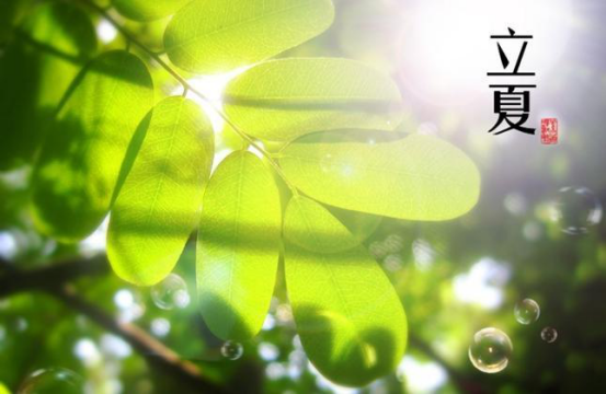 欧派电动车载你安然