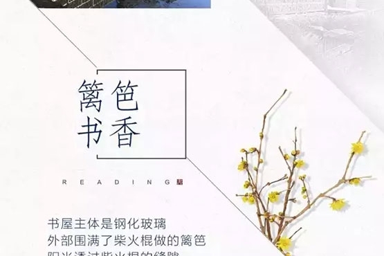 静品山谷中的慢时光