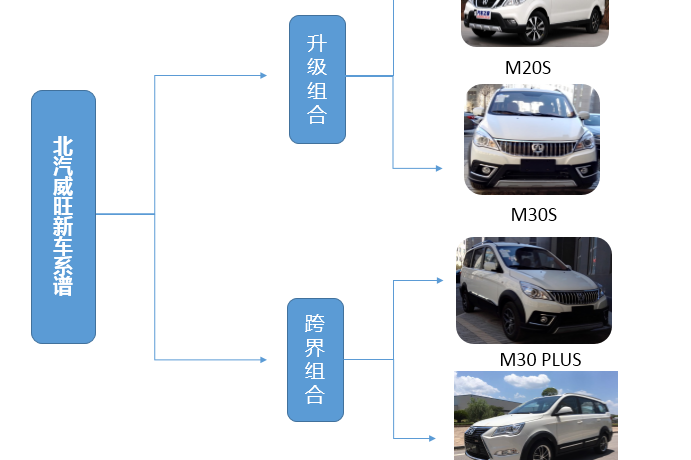任性又跨界 威旺新车