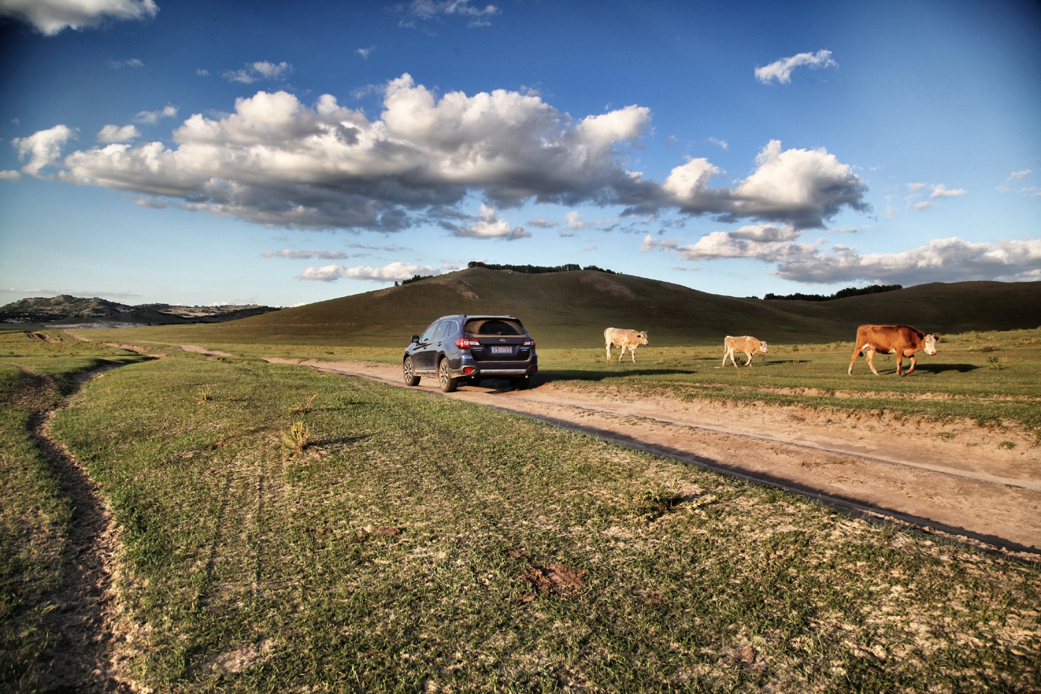 斯巴鲁拉萨朝圣之旅