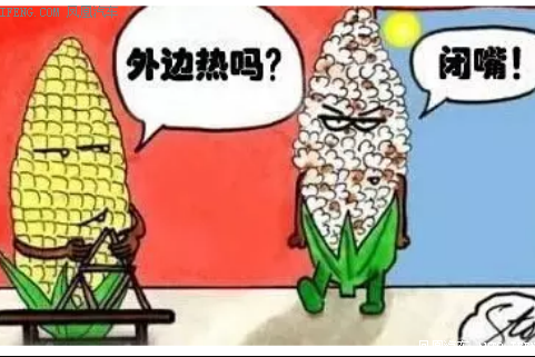 V级车让你清凉一夏