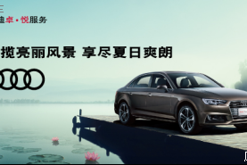 奥迪夏季服务活动