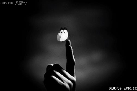 别让“危险”的蝴蝶