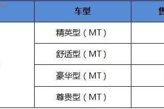 比速T5上市品鉴会25