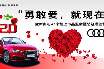 新奥迪A3率性上市