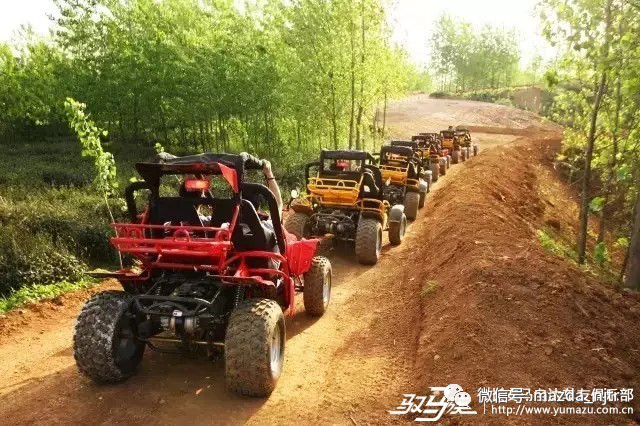 我是一条任性的推送 