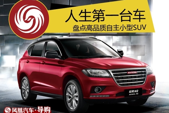 高品质自主小型SUV！