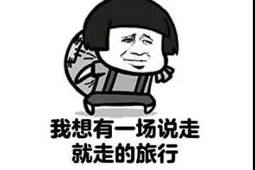 一汽-大众万家凯迪