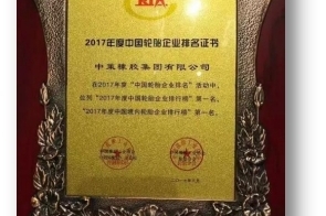 技术战略齐发展 中策