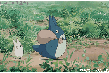 去西藏寻找爱情放松