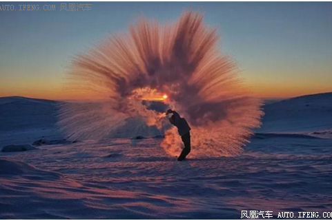 向往冰天雪地中部狗