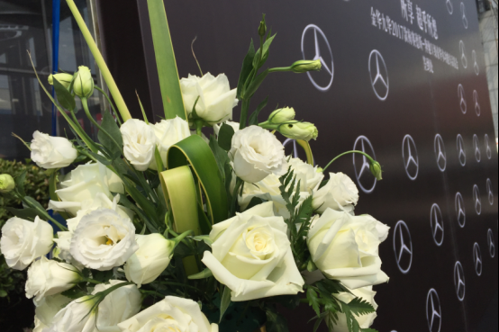 豪华多功能车品鉴会