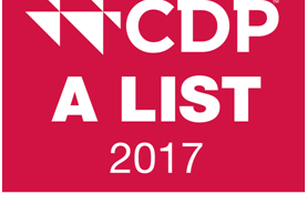 普利司通荣登 “2017