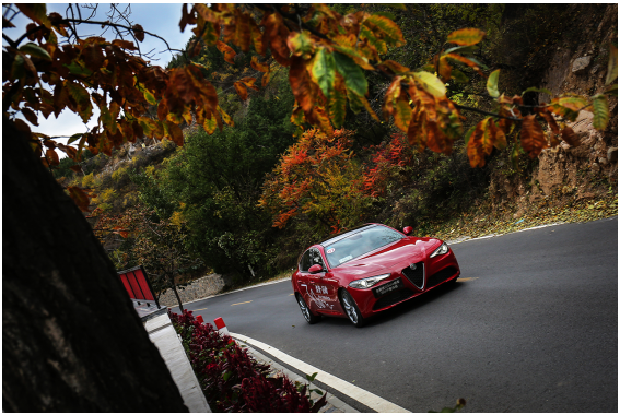 全新进口Stelvio试驾