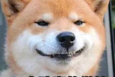 上汽大众重庆博众12.